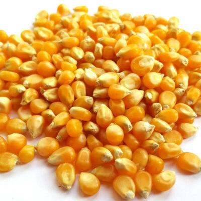 FROZEN CORN KERNEL – 2 KG