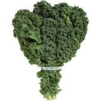 KALE – 24 BUNCH