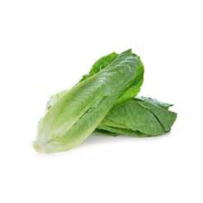 LETTUCE ROMAINE – 24 PC