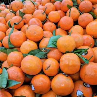 MANDARINS (TANGELO) – 100 PC