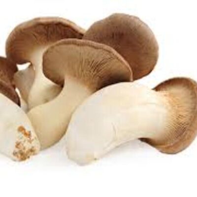 MUSHROOMS KING OYSTER – 14/300 GM