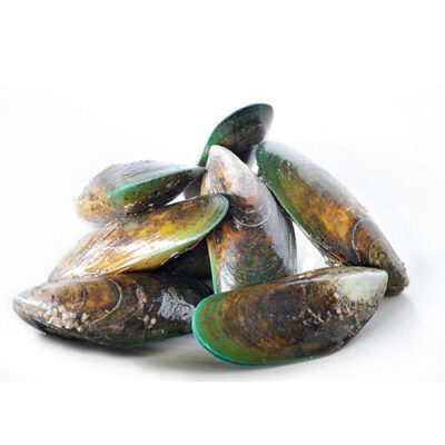 NZ GREEN MUSSELS – 908 GM