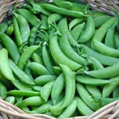 PEAS (SUGAR) – 10 LB