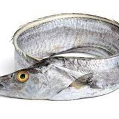 RIBBON FISH (700/1000) – 30 LB