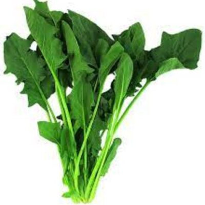 SPINACH (TAIWAN LONG) – 20 LB