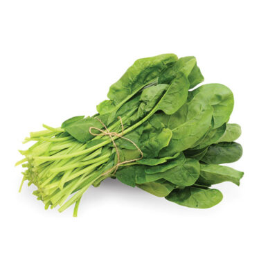 SPINACH BUNCH – 24 BUNCH