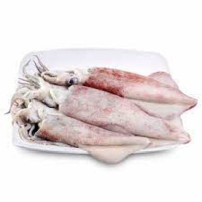 SQUID CALAMARI – 1 KG