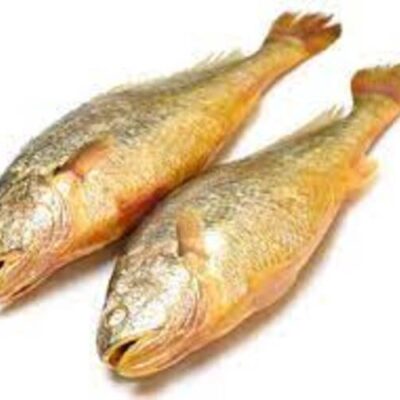 YELLOW CROAKER (400/500) – 22 LB