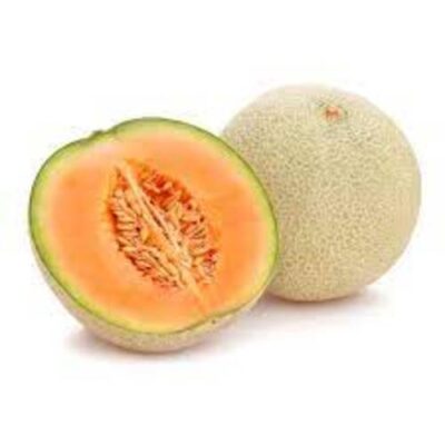 CANTALOUPE MELON – 12 PC