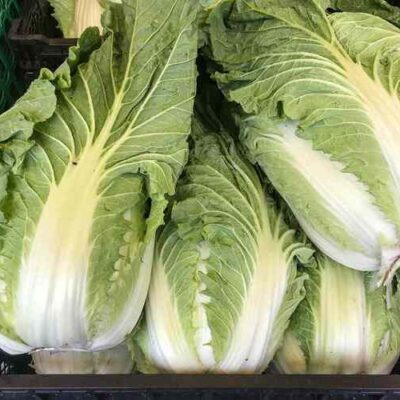 CHINESE GREEN CABBAGE – 30 LB