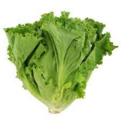 CHINESE LETTUCE – 25 LB
