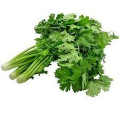 CILANTRO