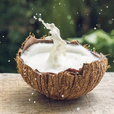 COCONUT MILK – 400 ML