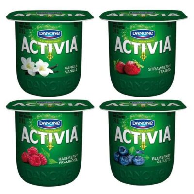 DANONE FRUIT YOGURT  – 24/100 GM